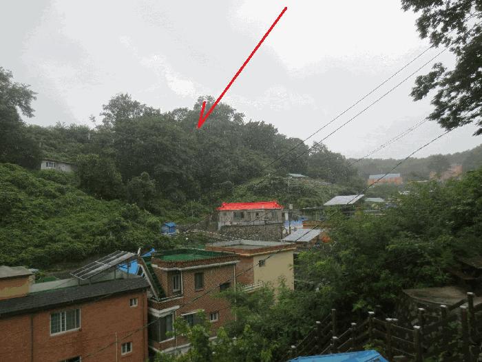 강원 고성군 거진읍 거진리 180-2 임야 사진 2