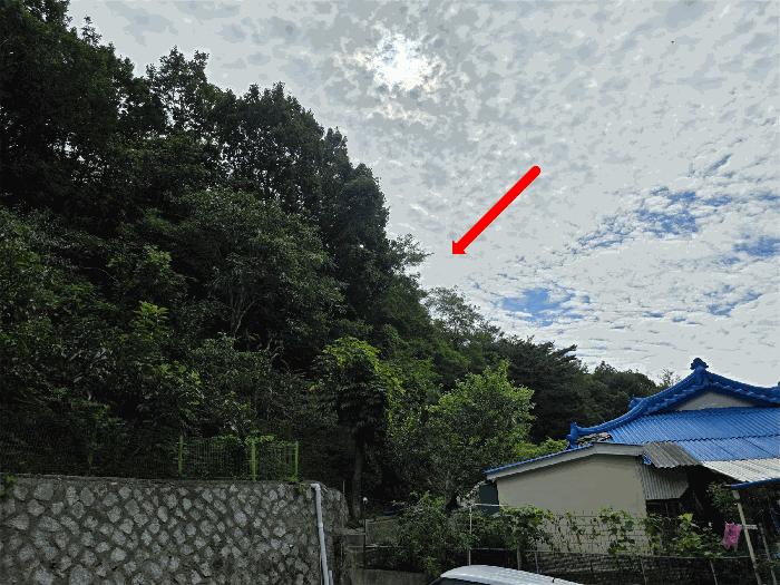 법원경매 2025타경10359 사진3 | 고성군 거진읍 거진리 임야 경매
