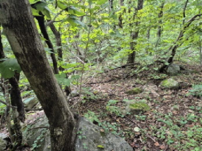 법원경매 2025타경10369 사진3 | 양양군 현남면 상월천리 328-2 전 경매