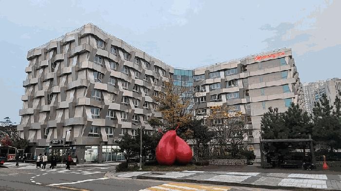 2025타경10393 법원경매 사진2 | 강원 속초시 상가,오피스텔,근린시설 경매