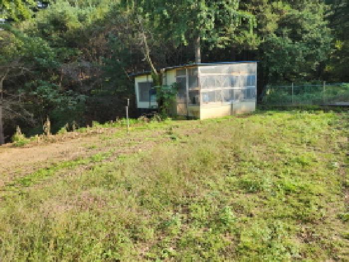 법원경매 2025타경73125 사진18 | 동두천시 상봉암동 390 목장용지 경매
