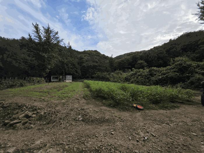 법원경매 2025타경73125 사진2 | 동두천시 상봉암동 390 목장용지 경매