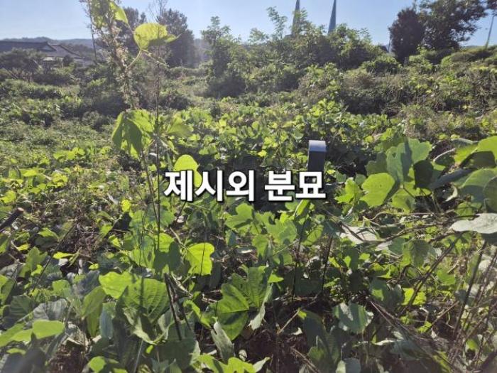 법원경매 2024타경3430 사진15 | 여주시 하거동 임야 경매