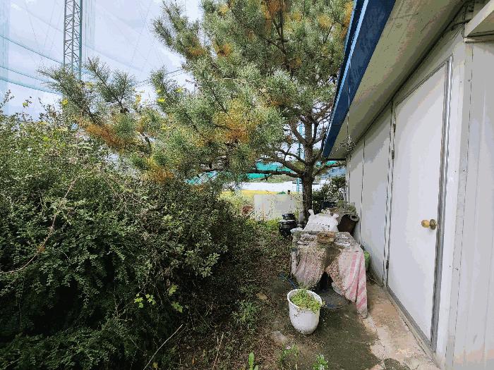 2024타경5375 법원경매 사진7 | 경기 이천시 창고 경매