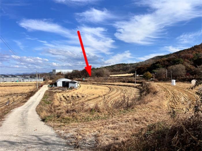 경기도 이천시 백사면 조읍리 231 법원경매 물건 대표사진
