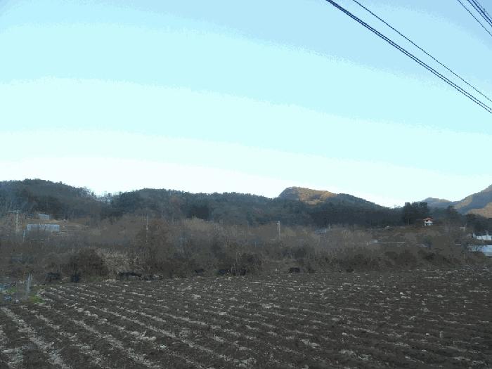 2025타경52041 법원경매 사진5 | 충북 괴산군 답 경매