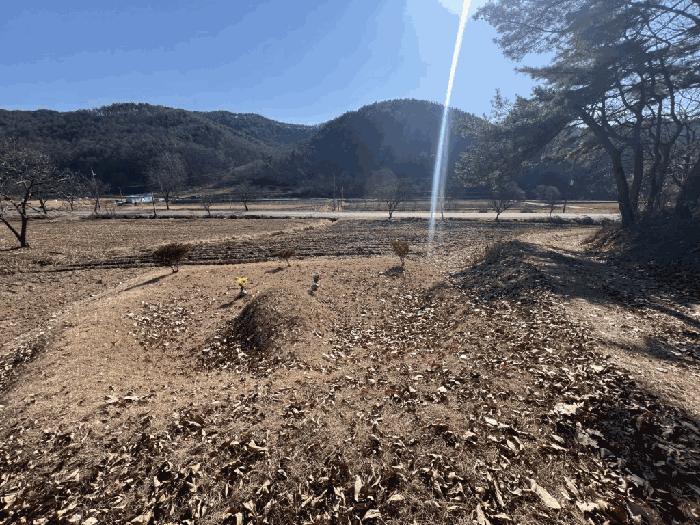 충북 보은군 산외면 어온리 86 전 사진 2