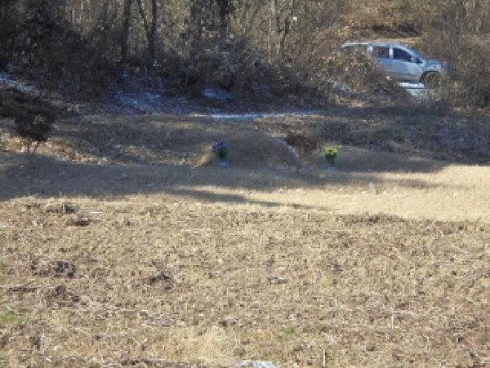 충북 보은군 산외면 어온리 86 전 사진 3