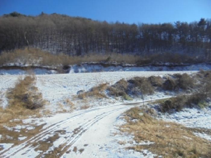 충북 보은군 산외면 어온리 86 전 사진 4