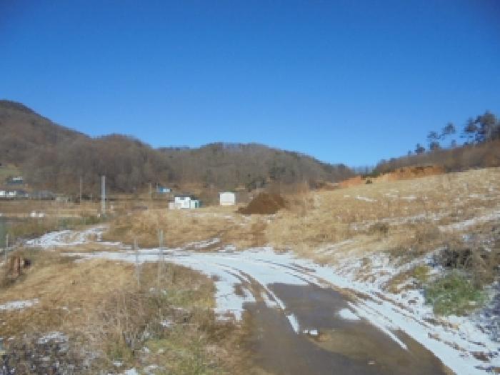 충북 보은군 산외면 어온리 86 전 사진 5