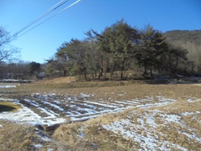 충북 보은군 산외면 어온리 86 전 사진 6