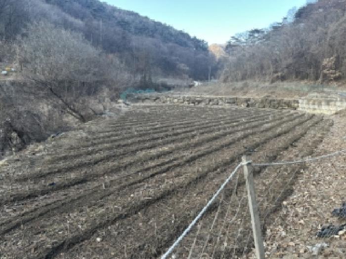 충청북도 괴산군 연풍면 원풍리 253 법원경매 물건 대표사진