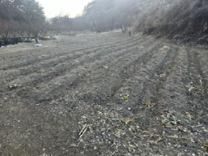 2025타경52117 법원경매 사진3 | 충북 괴산군 전 경매