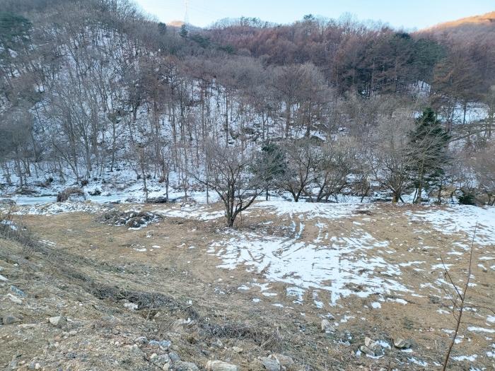 법원경매 2024타경41616 사진3 | 양평군 서종면 수입리 153-26 답 경매
