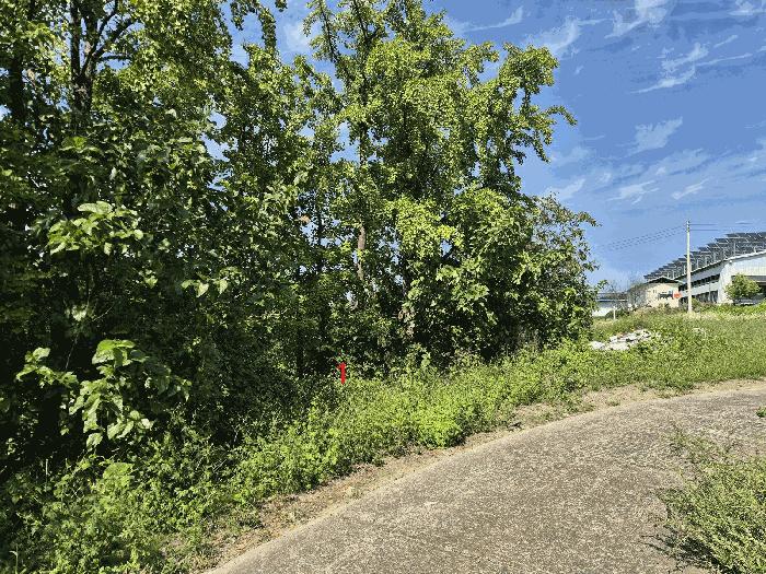 경상북도 경산시 진량읍 평사리(平沙里) 1070-1 법원경매 물건 대표사진