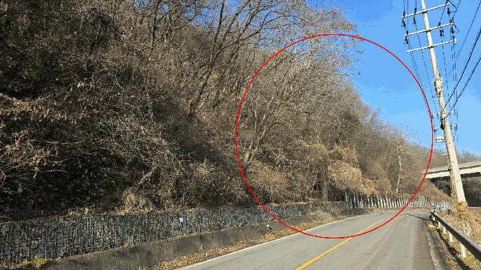 세종 장군면 산학리 산2-5 임야 사진 3