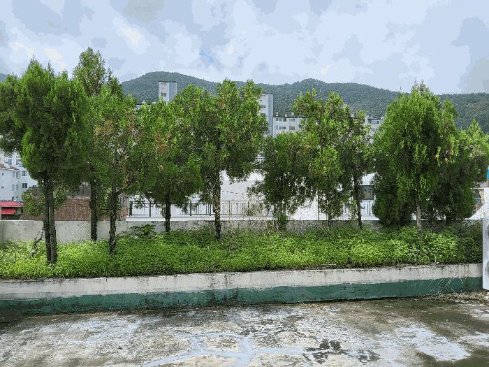 법원경매 2025타경8809 사진6 | 대구 수성구 지산동 1188-3 근린시설 경매