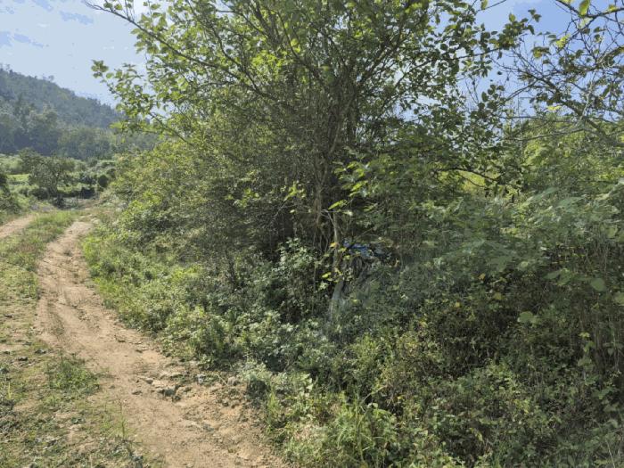 충청남도 금산군 추부면 추정리 19-1 법원경매 물건 대표사진