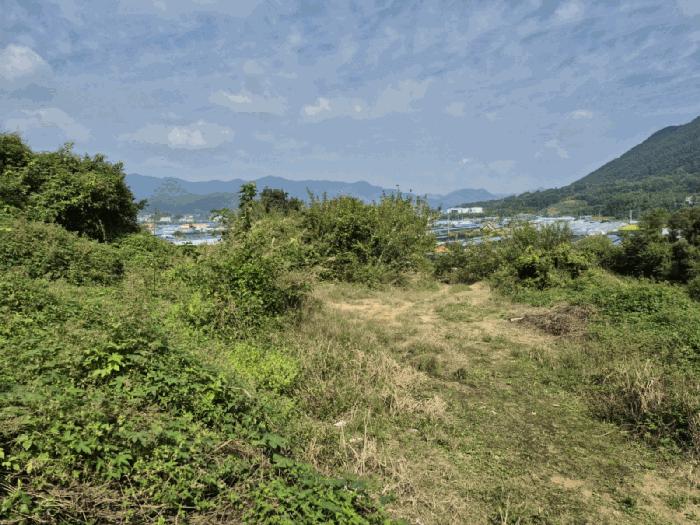 2025타경503484 법원경매 사진2 | 충남 금산군 전 경매