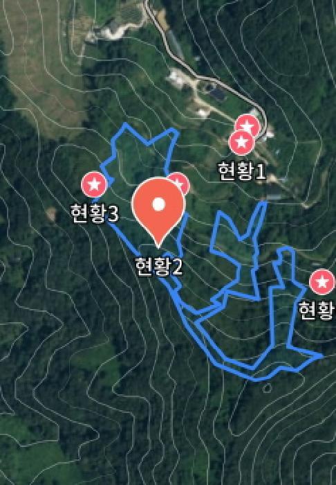 2025타경503773 법원경매 사진19 | 충남 금산군 대지,임야,전답 경매