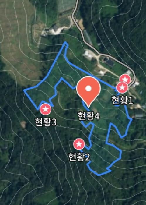 2025타경503773 법원경매 사진21 | 충남 금산군 대지,임야,전답 경매