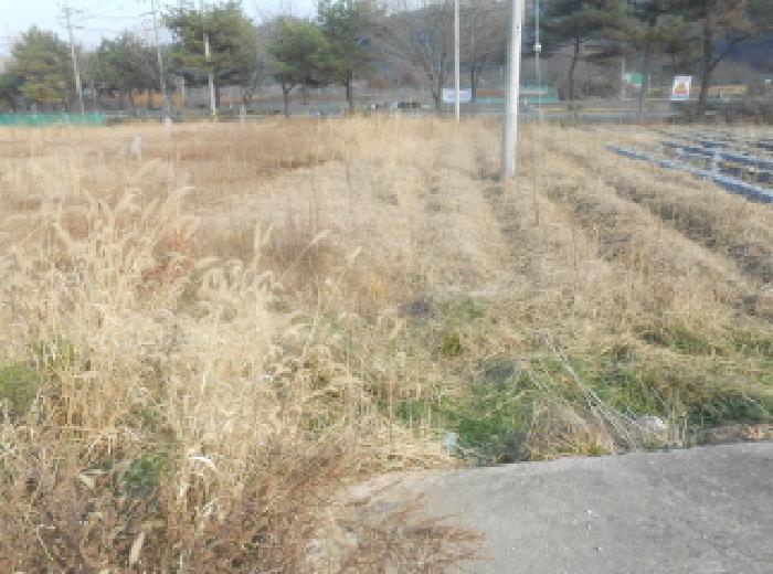 2025타경503809 법원경매 사진3 | 세종 전의면 전 경매