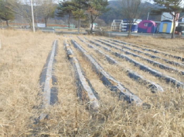 2025타경503809 법원경매 사진4 | 세종 전의면 전 경매
