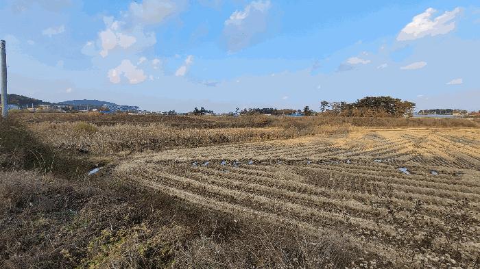 충청남도 태안군 근흥면 두야리 403-8 법원경매 물건 대표사진