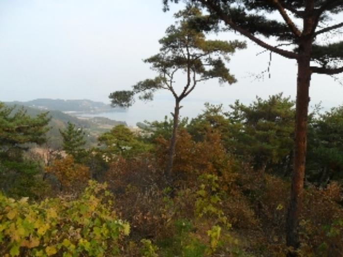 2022타경56591 법원경매 사진34 | 충남 태안군 임야 경매