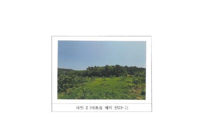 법원경매 2025타경347 사진25 | 김천시 아포읍 임야 경매