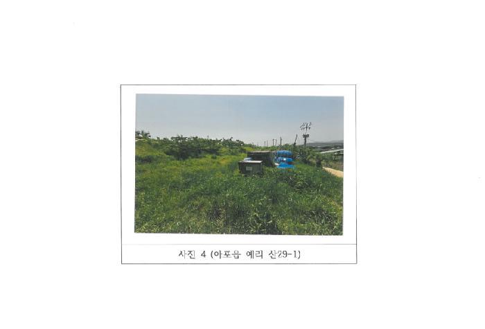 법원경매 2025타경347 사진27 | 김천시 아포읍 임야 경매