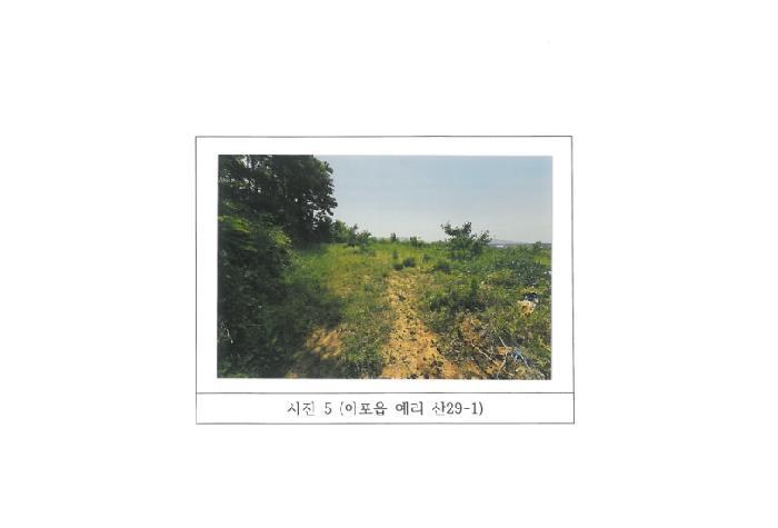 법원경매 2025타경347 사진28 | 김천시 아포읍 임야 경매