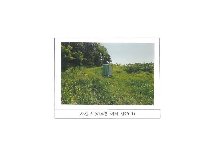 법원경매 2025타경347 사진29 | 김천시 아포읍 임야 경매