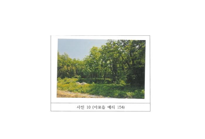 법원경매 2025타경347 사진33 | 김천시 아포읍 예리 154 전 경매