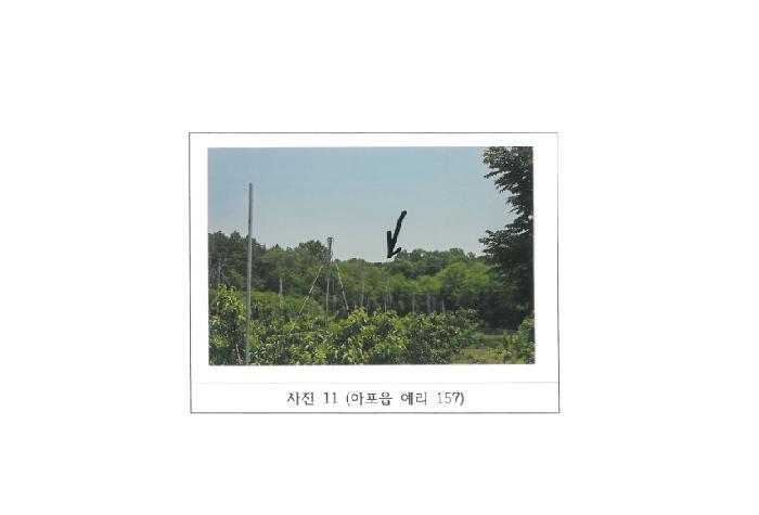 법원경매 2025타경347 사진34 | 김천시 아포읍 예리 154 전 경매