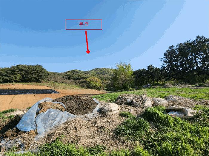 2025타경601 법원경매 사진4 | 충남 태안군 임야 경매