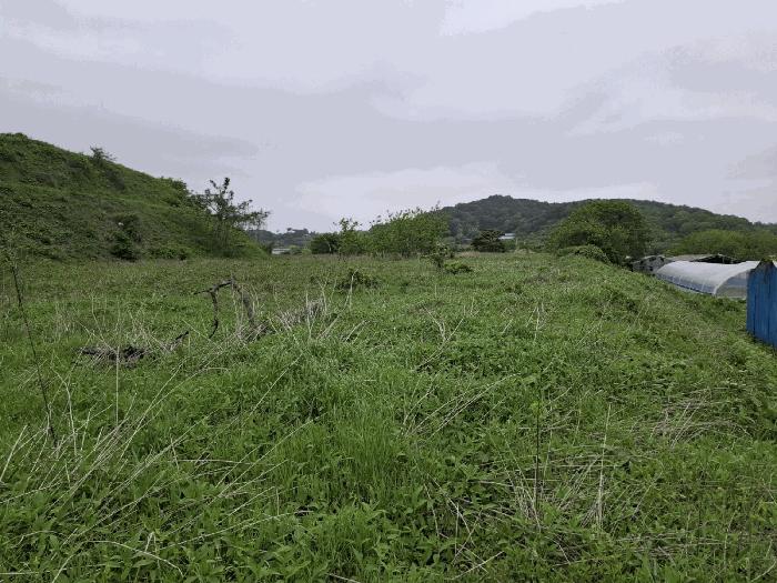 충청남도 당진시 고대면 진관리 1217-1 법원경매 물건 대표사진