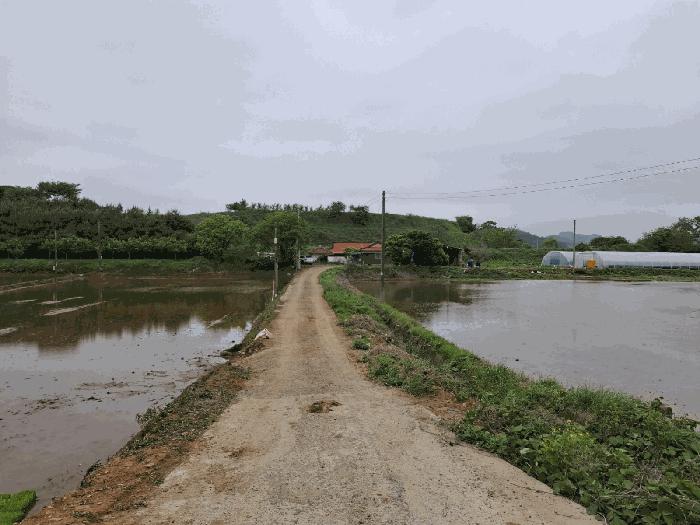 2025타경636 법원경매 사진3 | 충남 당진시 임야 경매
