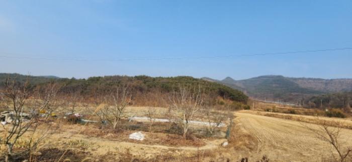 법원경매 2025타경10361 사진4 | 구미시 선산읍 죽장리 76-1 답 경매