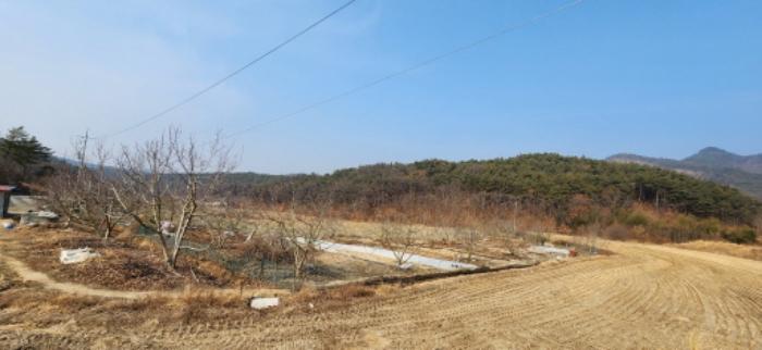 법원경매 2025타경10361 사진3 | 구미시 도개면 동산리 579 전 경매