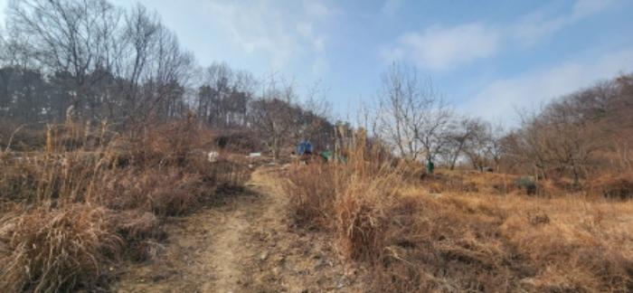 법원경매 2025타경10361 사진8 | 구미시 도개면 동산리 579 전 경매