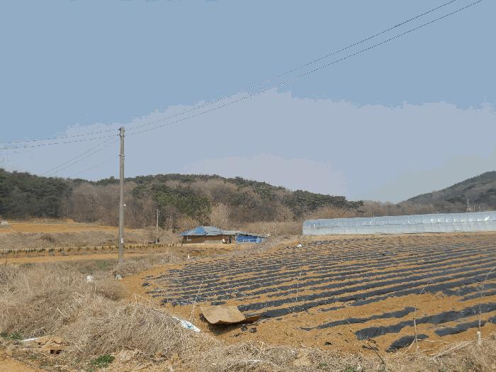 2025타경51114 법원경매 사진3 | 충남 당진시 임야 경매
