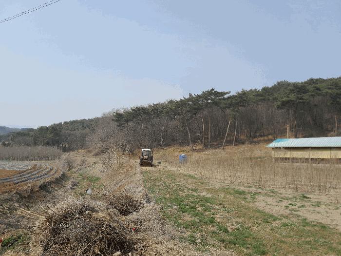 2025타경51114 법원경매 사진4 | 충남 당진시 임야 경매