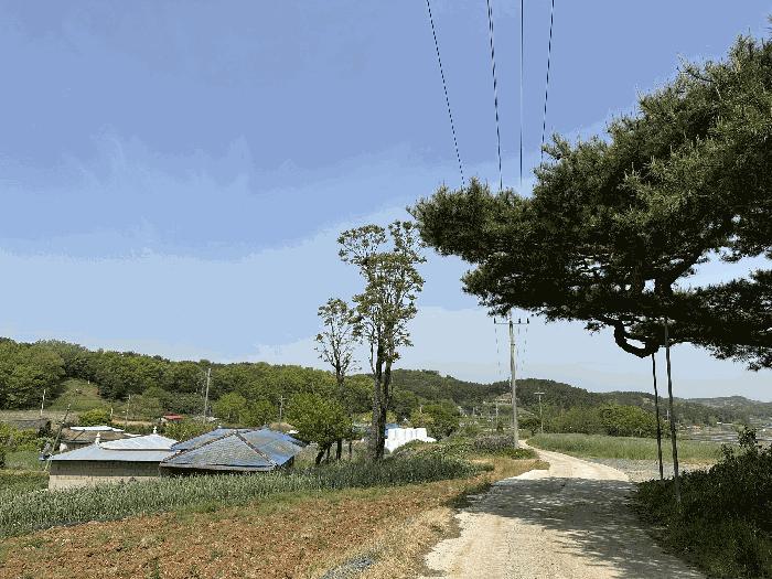 2025타경51215 법원경매 사진4 | 충남 당진시 임야 경매