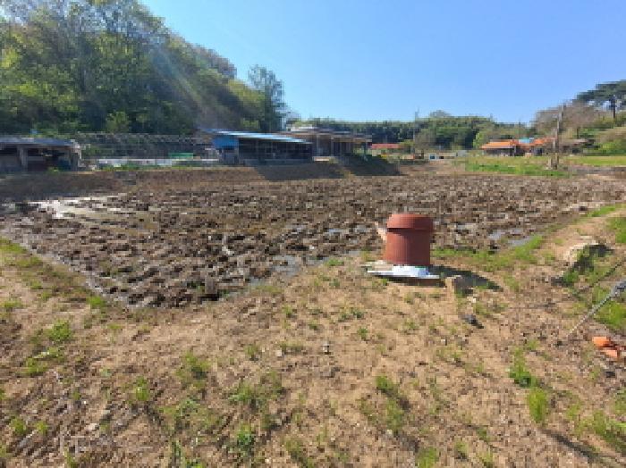 2025타경51229 법원경매 사진9 | 충남 당진시 전 경매