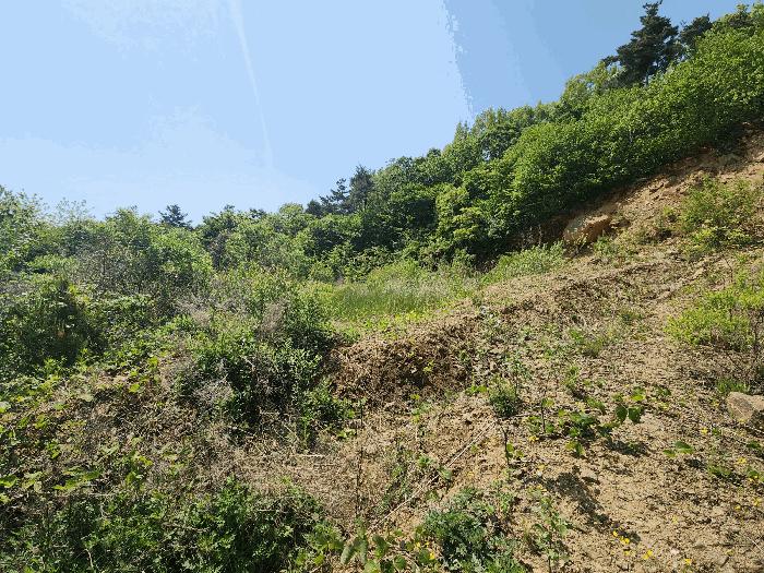 충청남도 서산시 인지면 산동리 248-25 법원경매 물건 대표사진
