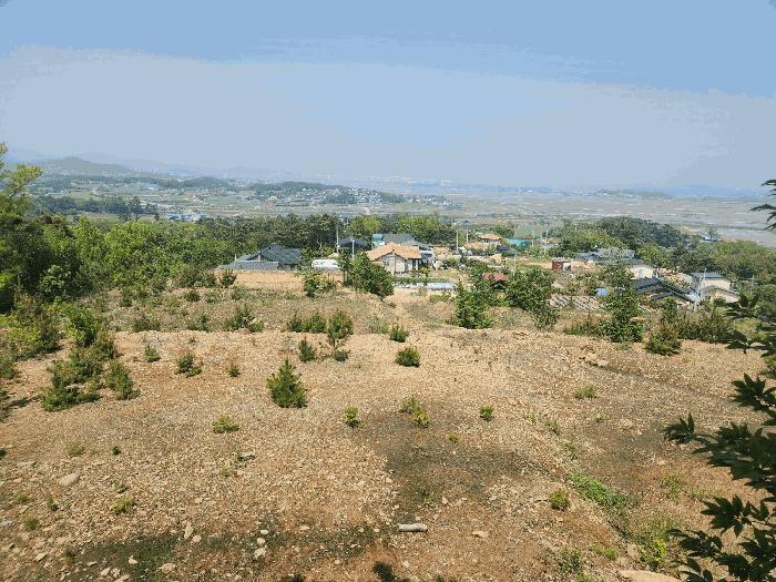 2025타경51287 법원경매 사진2 | 충남 서산시 임야 경매