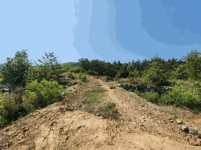 2025타경51287 법원경매 사진5 | 충남 서산시 임야 경매
