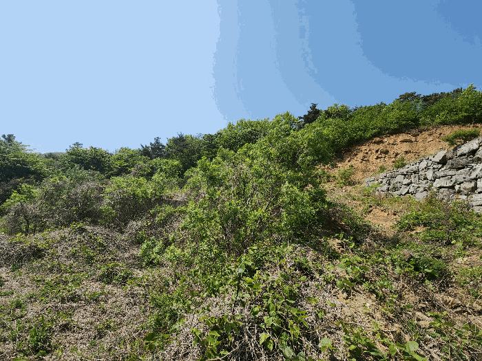 2025타경51287 법원경매 사진8 | 충남 서산시 임야 경매