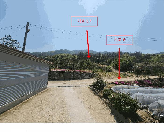 2025타경51287 법원경매 사진9 | 충남 서산시 임야 경매